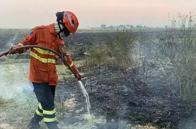 Pantanal e Cerrado estão entre biomas mais atingidos por queimadas em 2023