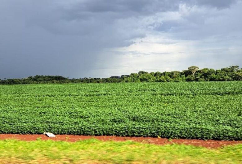 Prazo para cadastro de áreas de plantio de soja encerra em 31 de janeiro