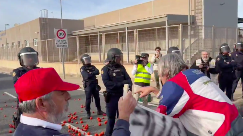 Agricultores destroem tomates marroquinos em protesto na Espanha