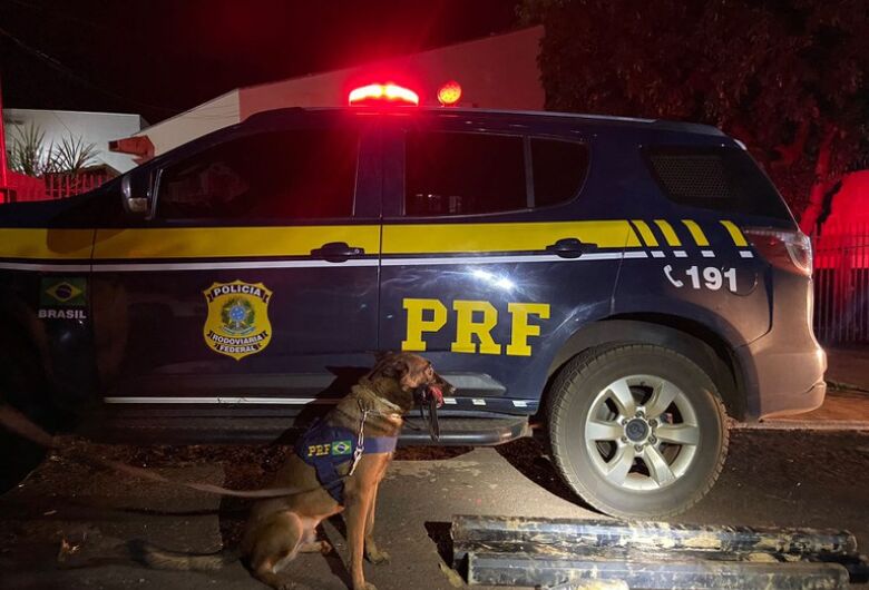 Com auxílio de cão farejador, polícia apreende 41 quilos de cocaína em caminhão