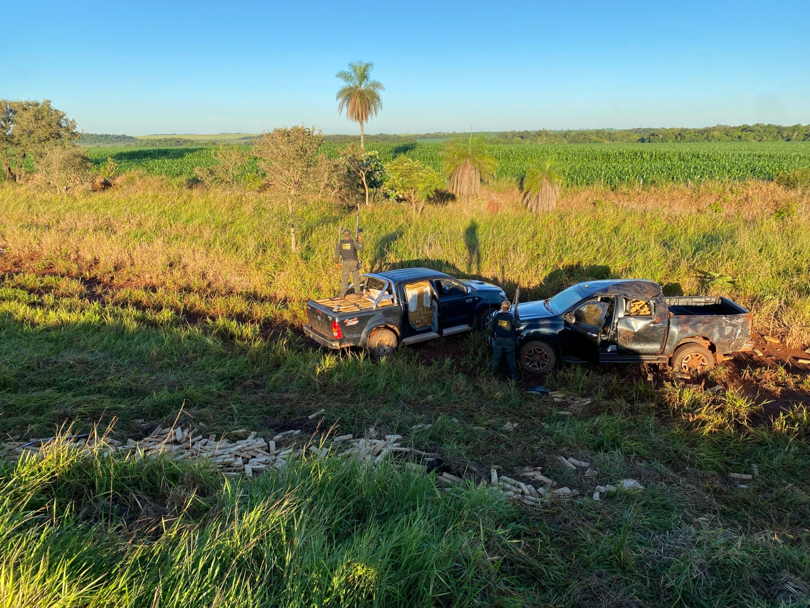 Carga milionária de maconha é apreendida pelo DOF em Maracaju