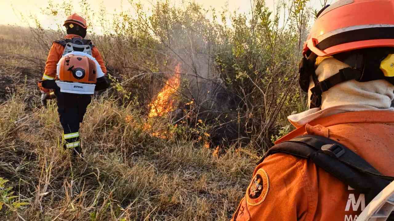 Mato Grosso do Sul tem 58 focos de incêndio por dia em junho e supera números de 2020