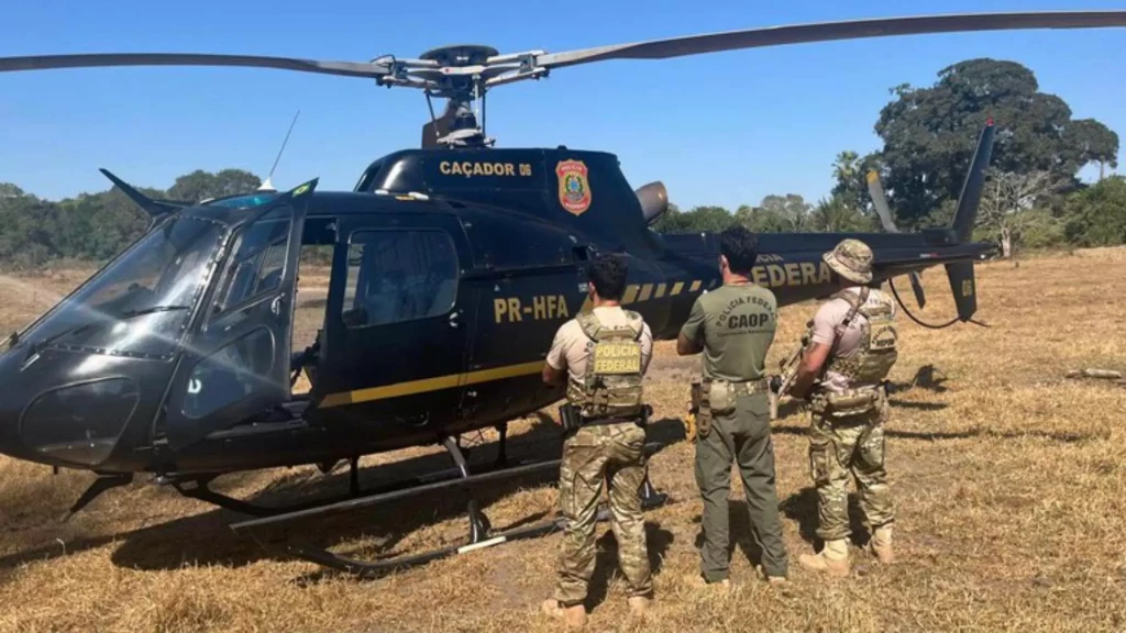 Área queimada do Pantanal supera em 3100,6% o tamanho em 2023