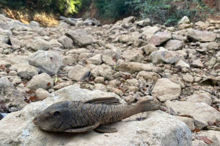 Trechos do Rio da Prata em Jardim e Bonito secam em MS