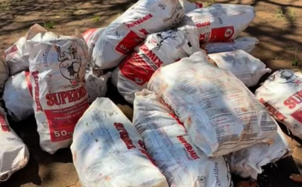 Carga de mandioca que saiu de distrito brasileiro é apreendida na fronteira